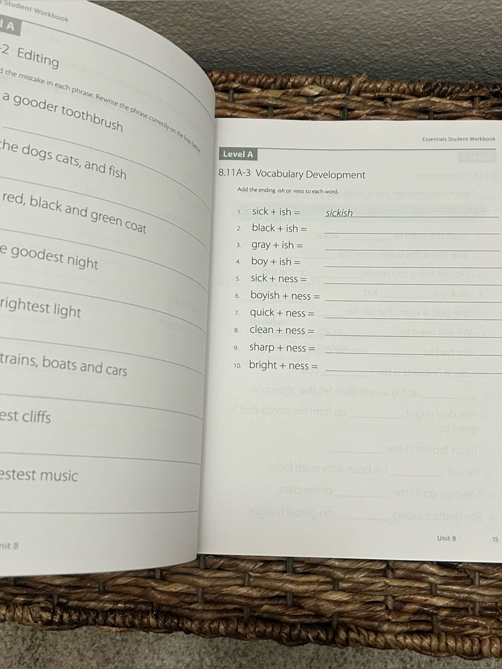 Logic of English Essentials 8-15 Teacher's Guide + Student Workbook Denise Eide
